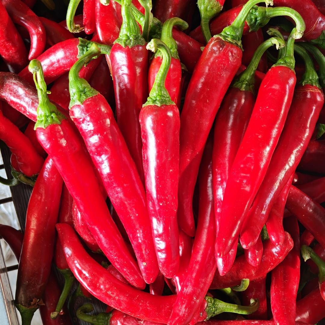 农产品直达餐桌