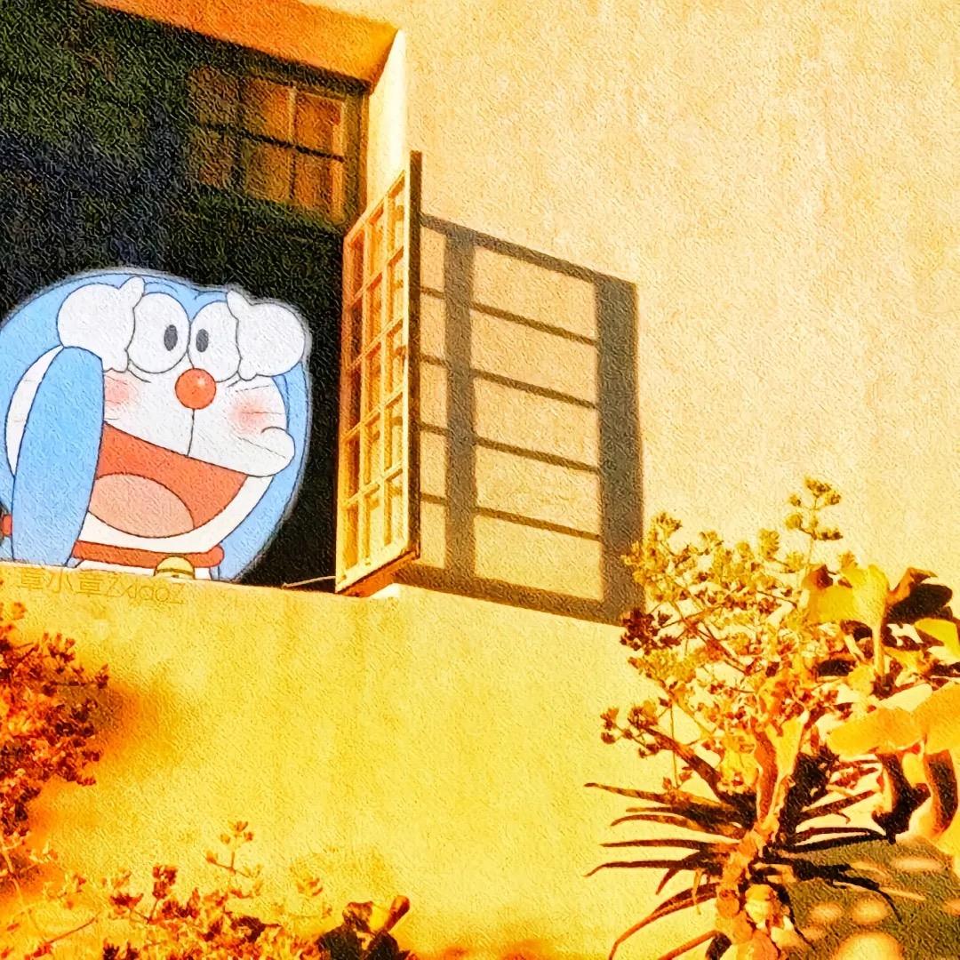 星星在这里♡