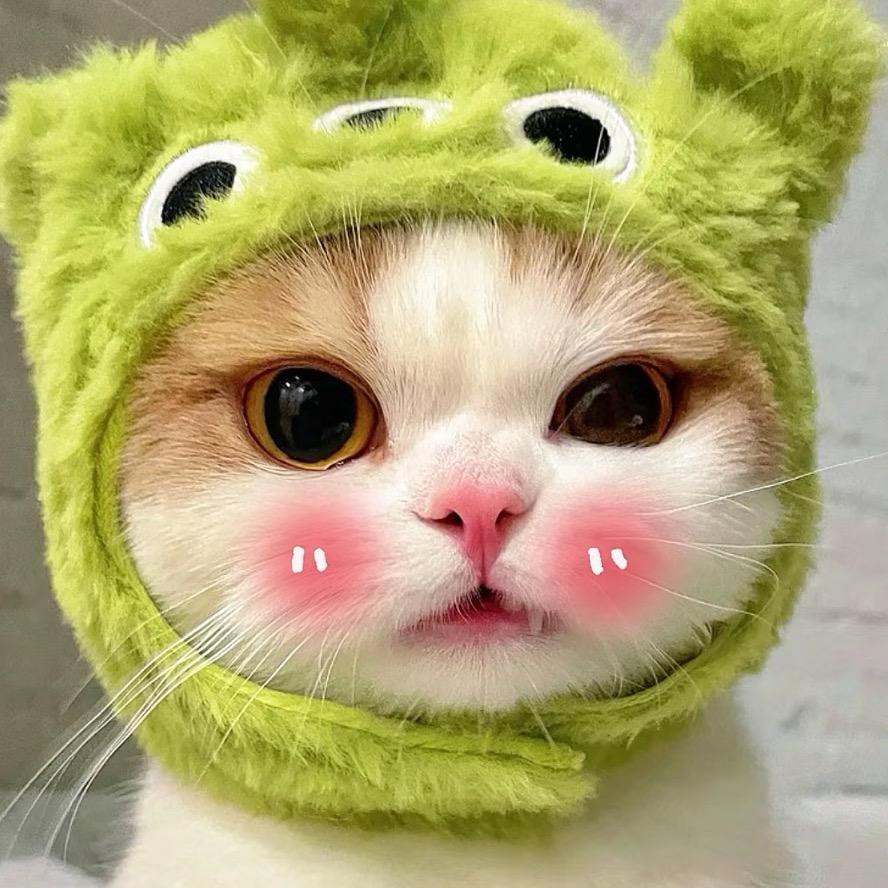 🐾