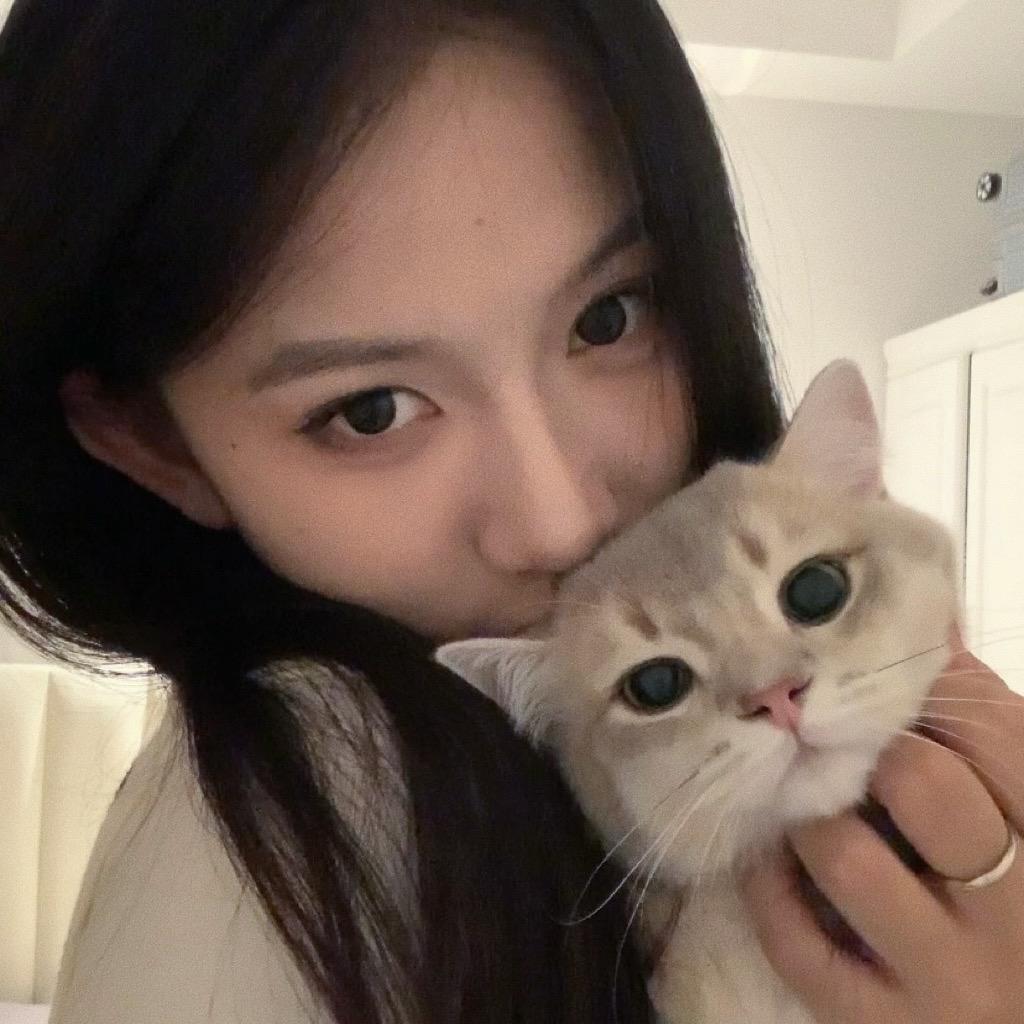 都发发