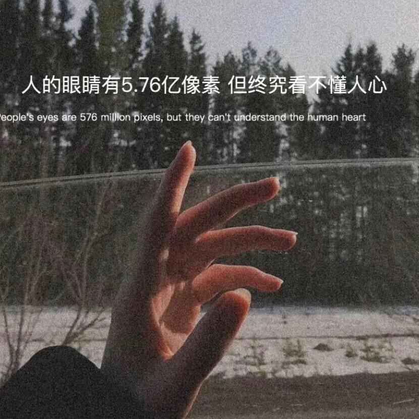 辞梦💋
