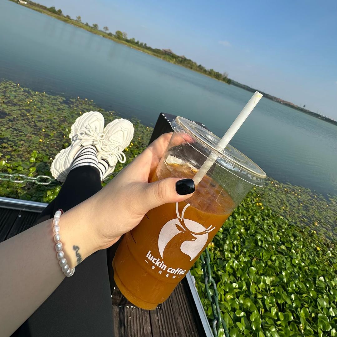 小白兔🐰白又白