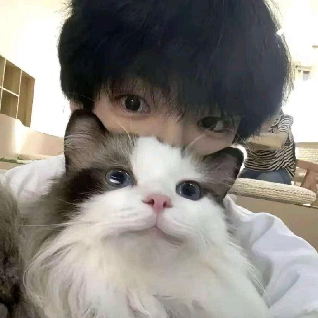 忧郁的农村入