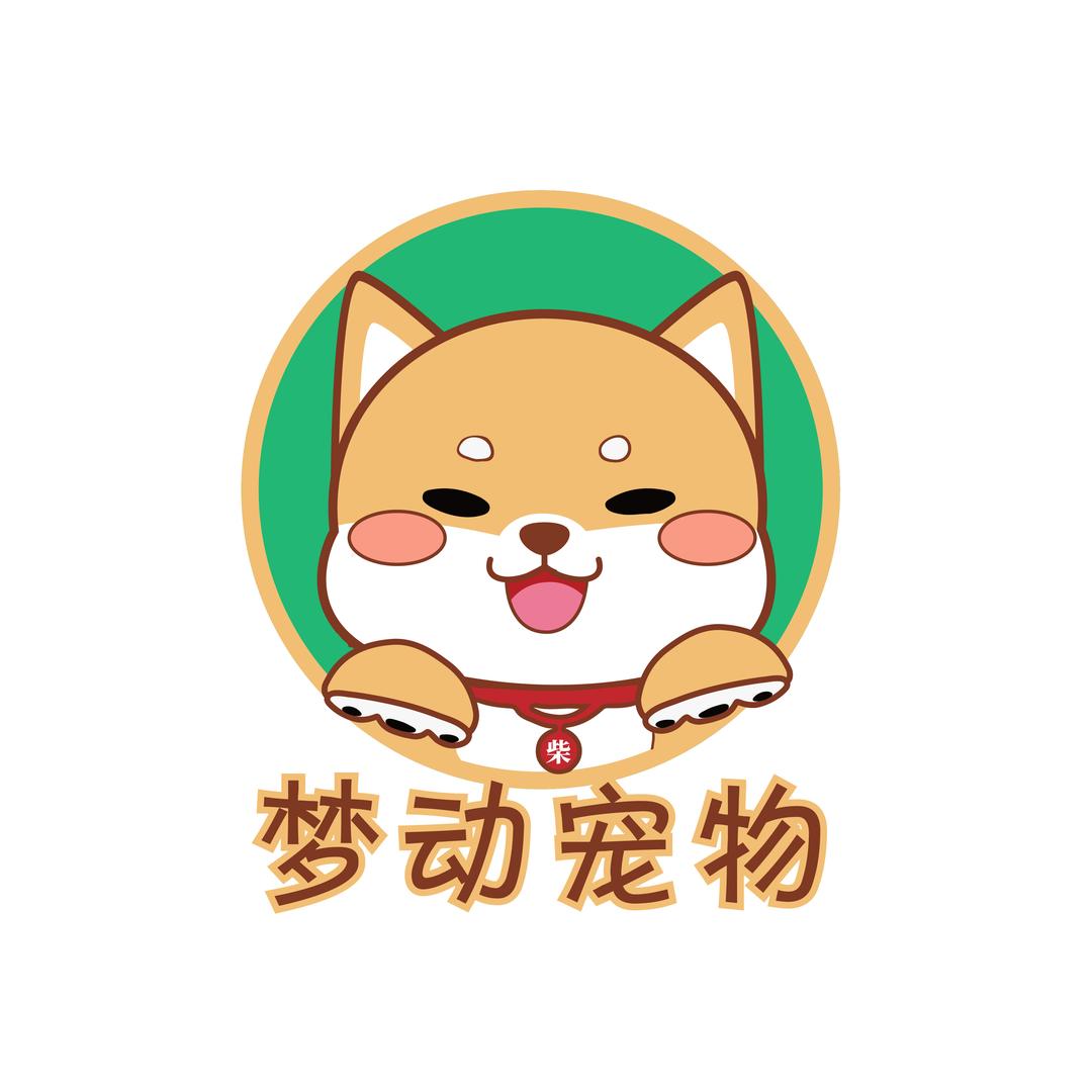 梦动宠物旗舰店零售店柴犬2号