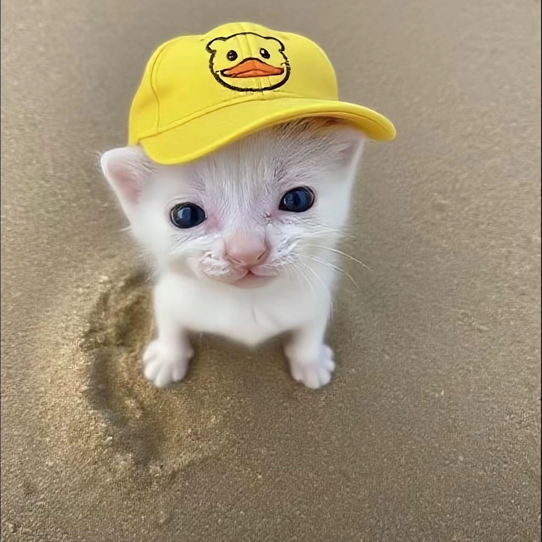 ·