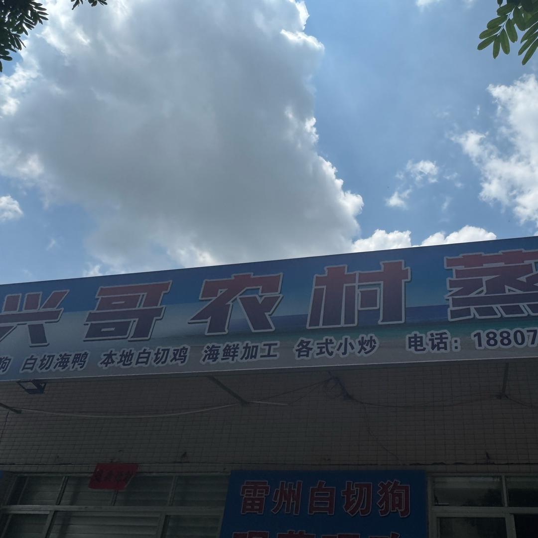 湛江麻章现蒸