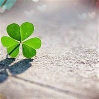 🍀❄️