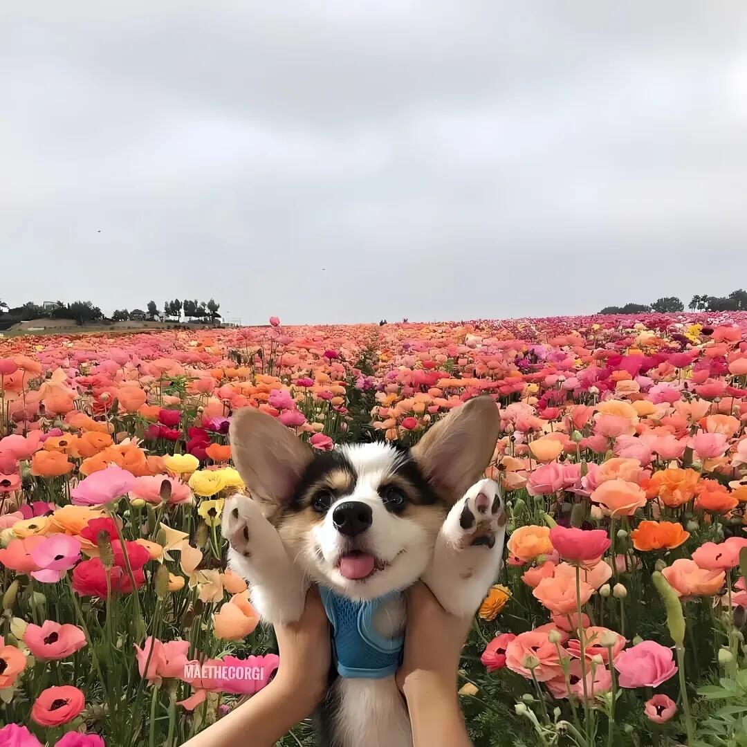 亿颗糖🍬
