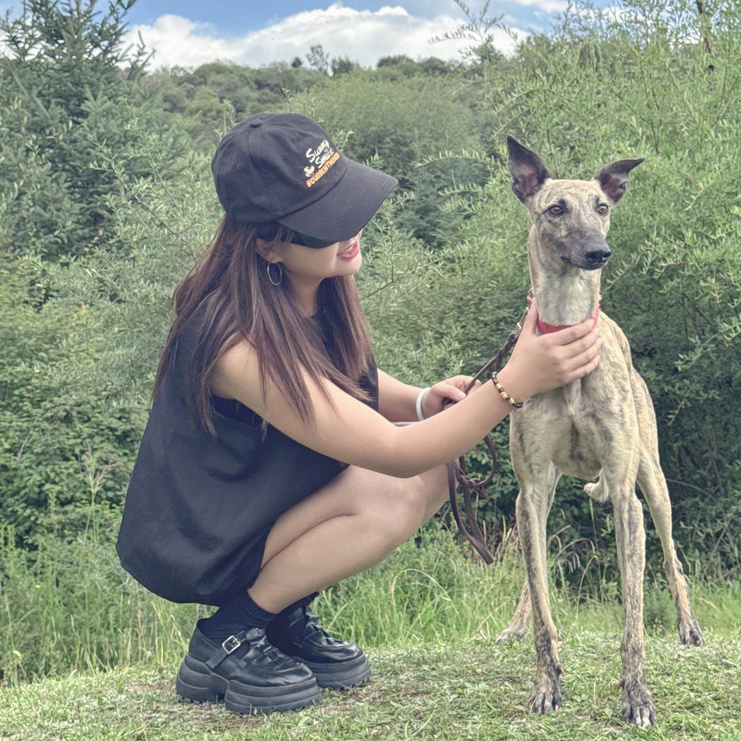 郝贝尔❣️