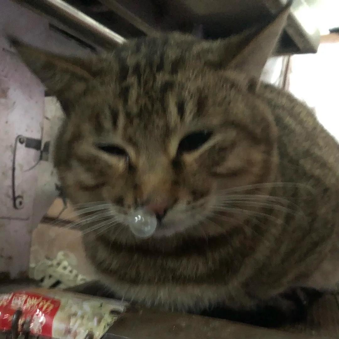降临🎨