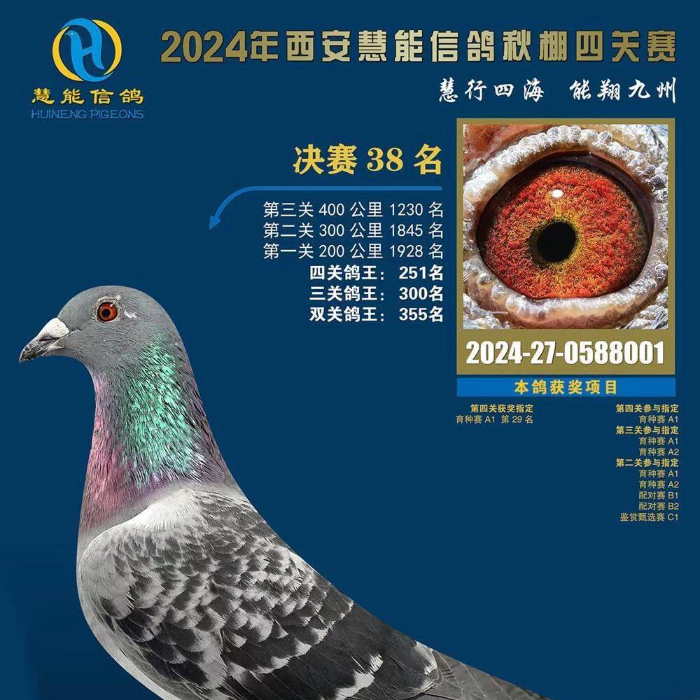 小李飞刀