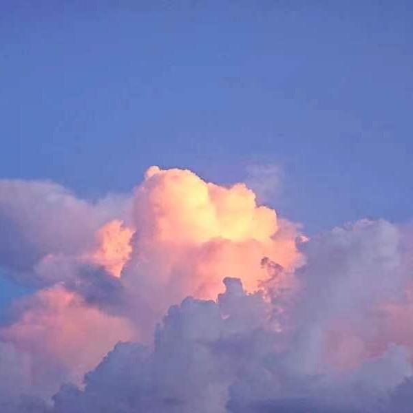 @江西升学规划李老师