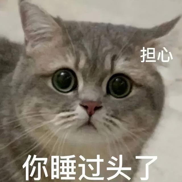 有趣的事只分享给不敷衍的人