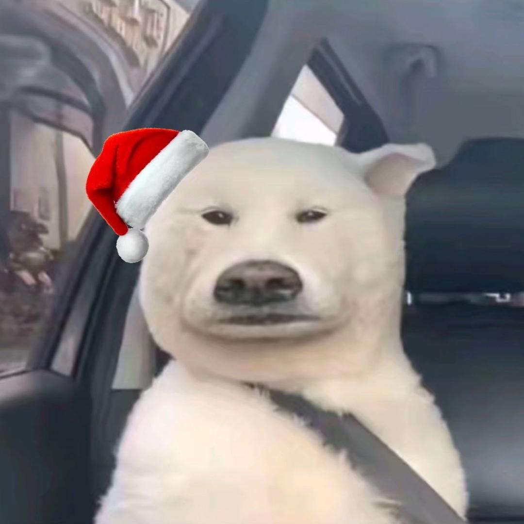 高级陈年人