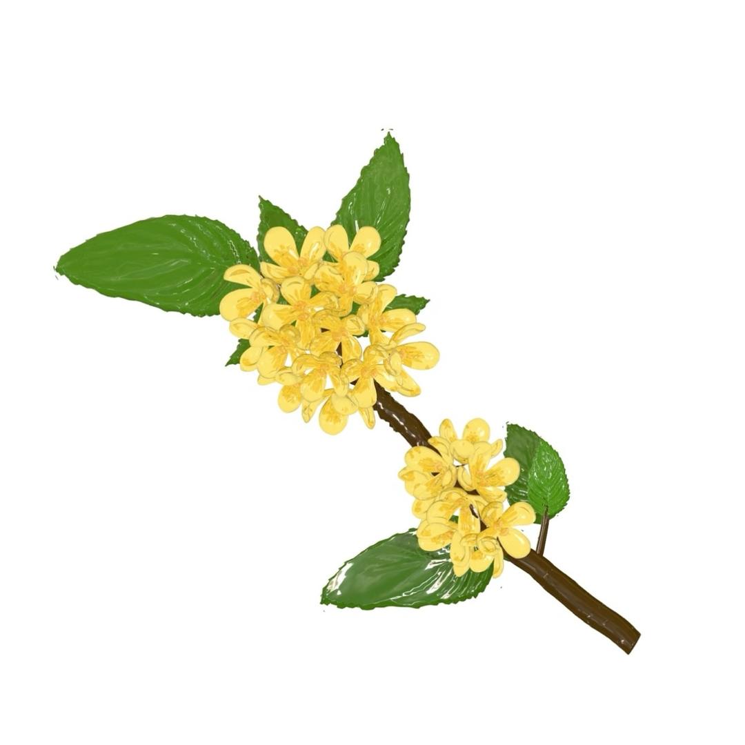 脆脆鲨建设美丽中国