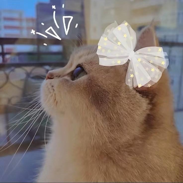 ོA865🫧二迷糊