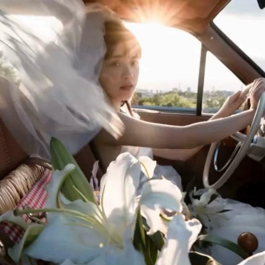 海底世界的柠檬鲨🦈