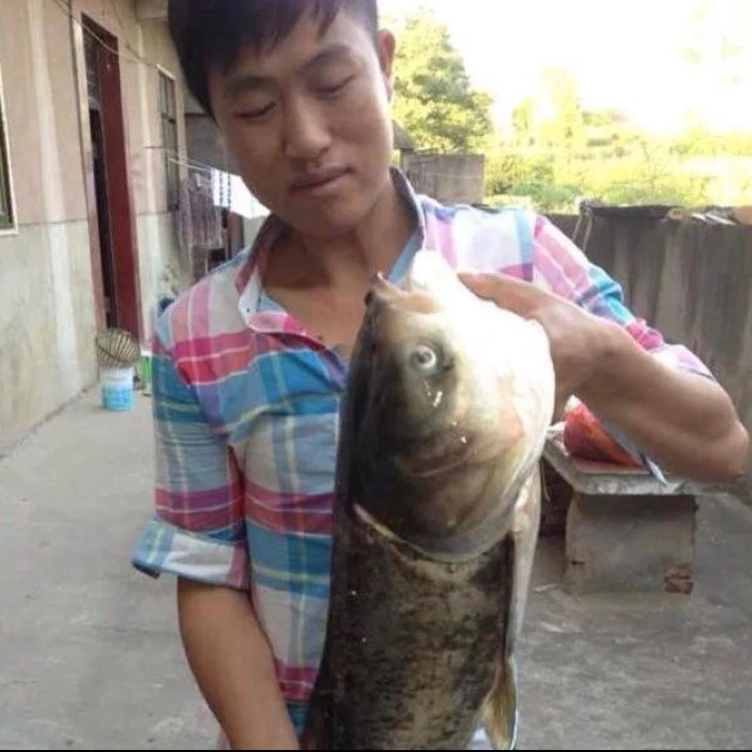 雄威哥头像