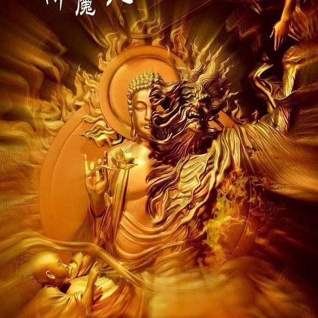 尘埃落定皆繁华