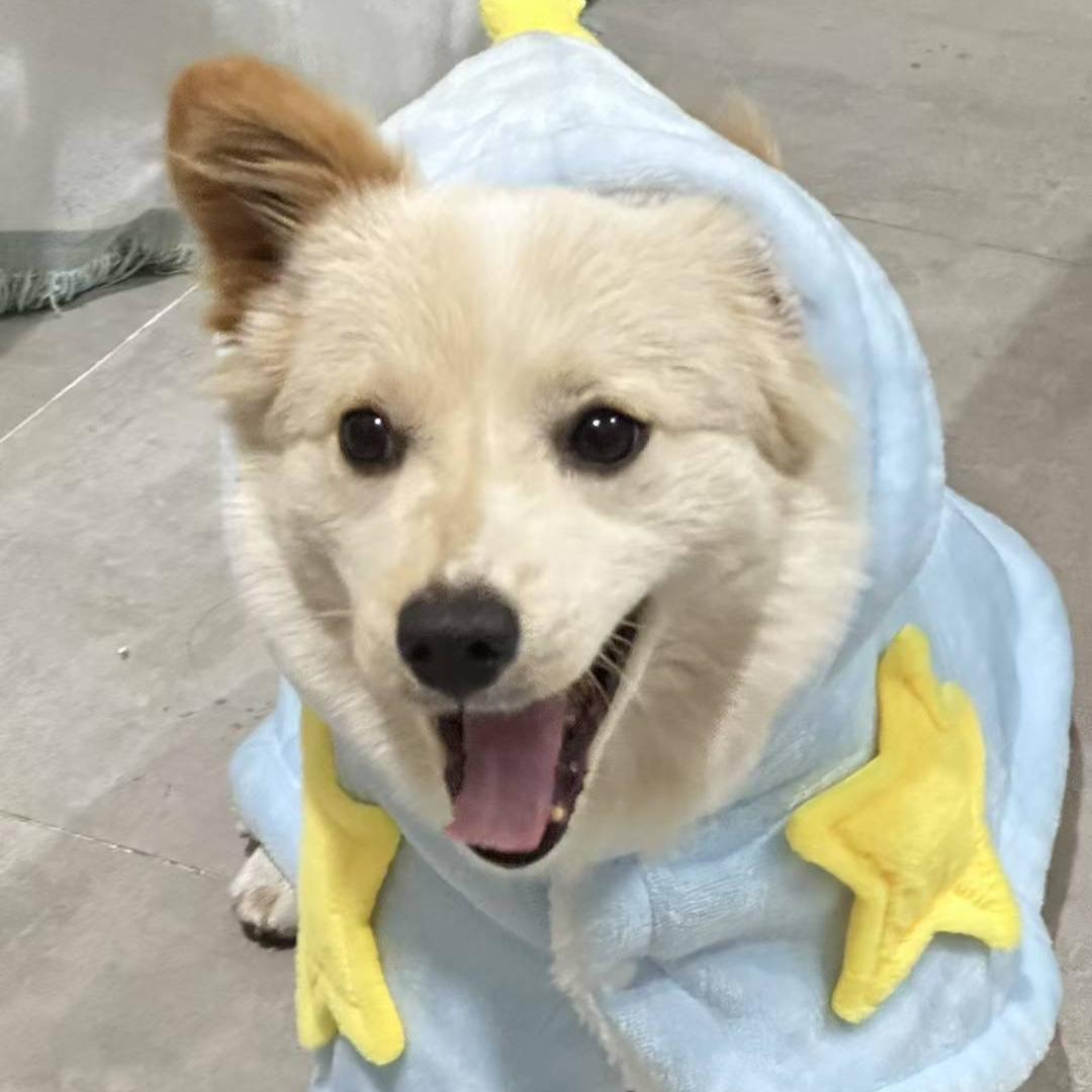 王小小日用品优品生活坊