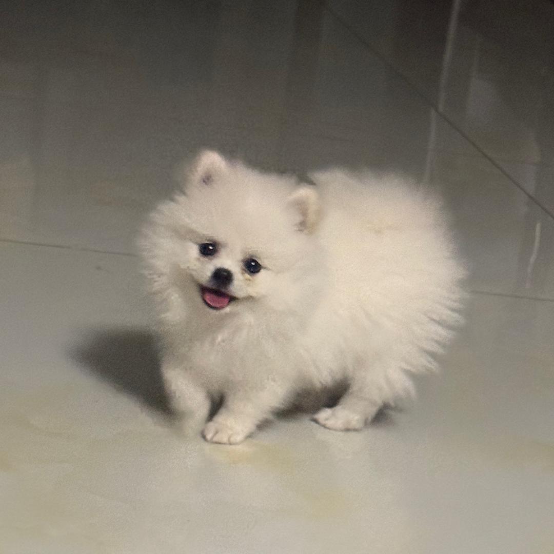 睡不着想睡觉