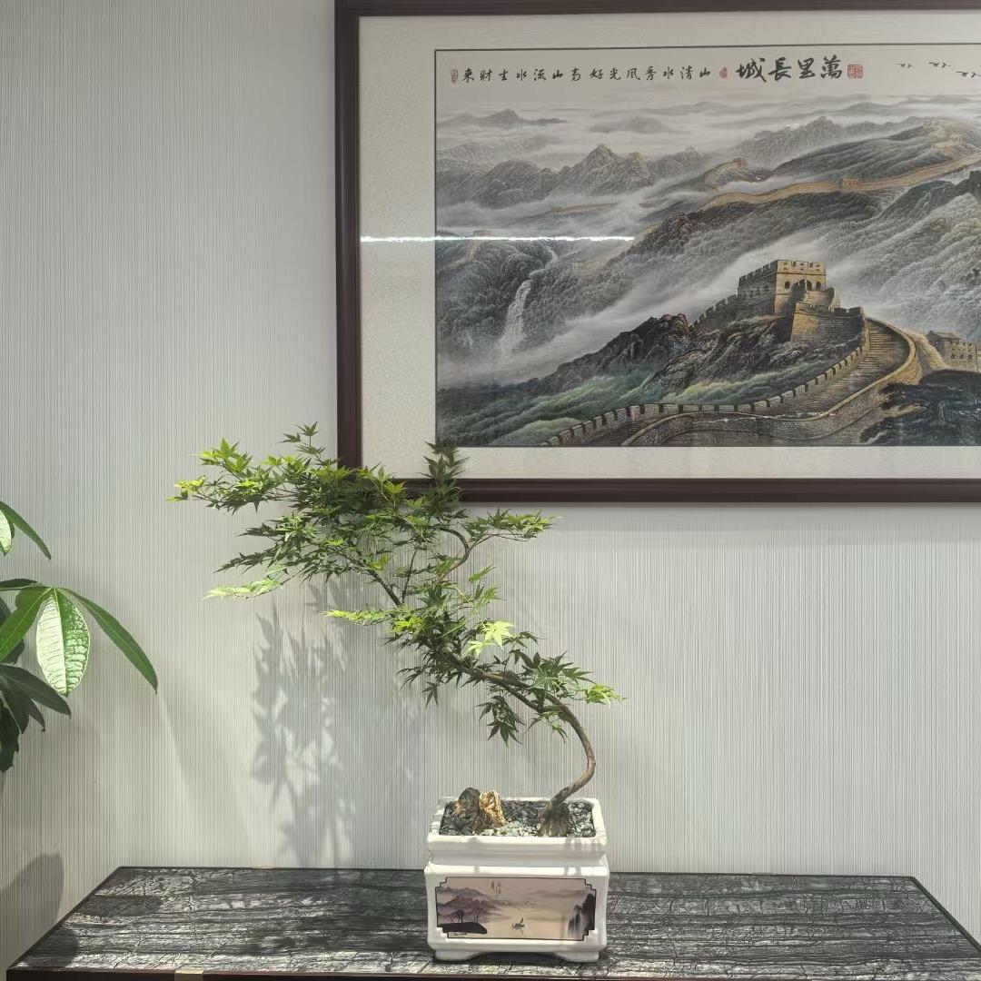 富豪的烦恼