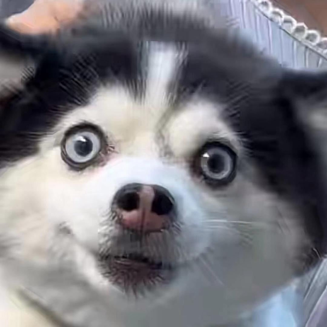 FFF