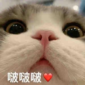 幻尽头像