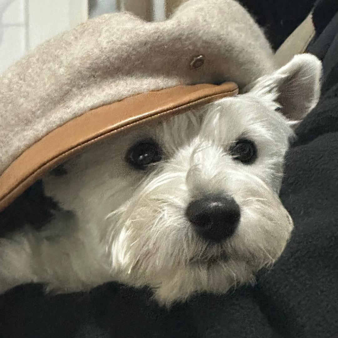 钻石👸范老大💎