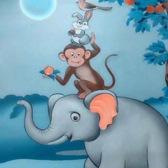 多吉的百宝袋