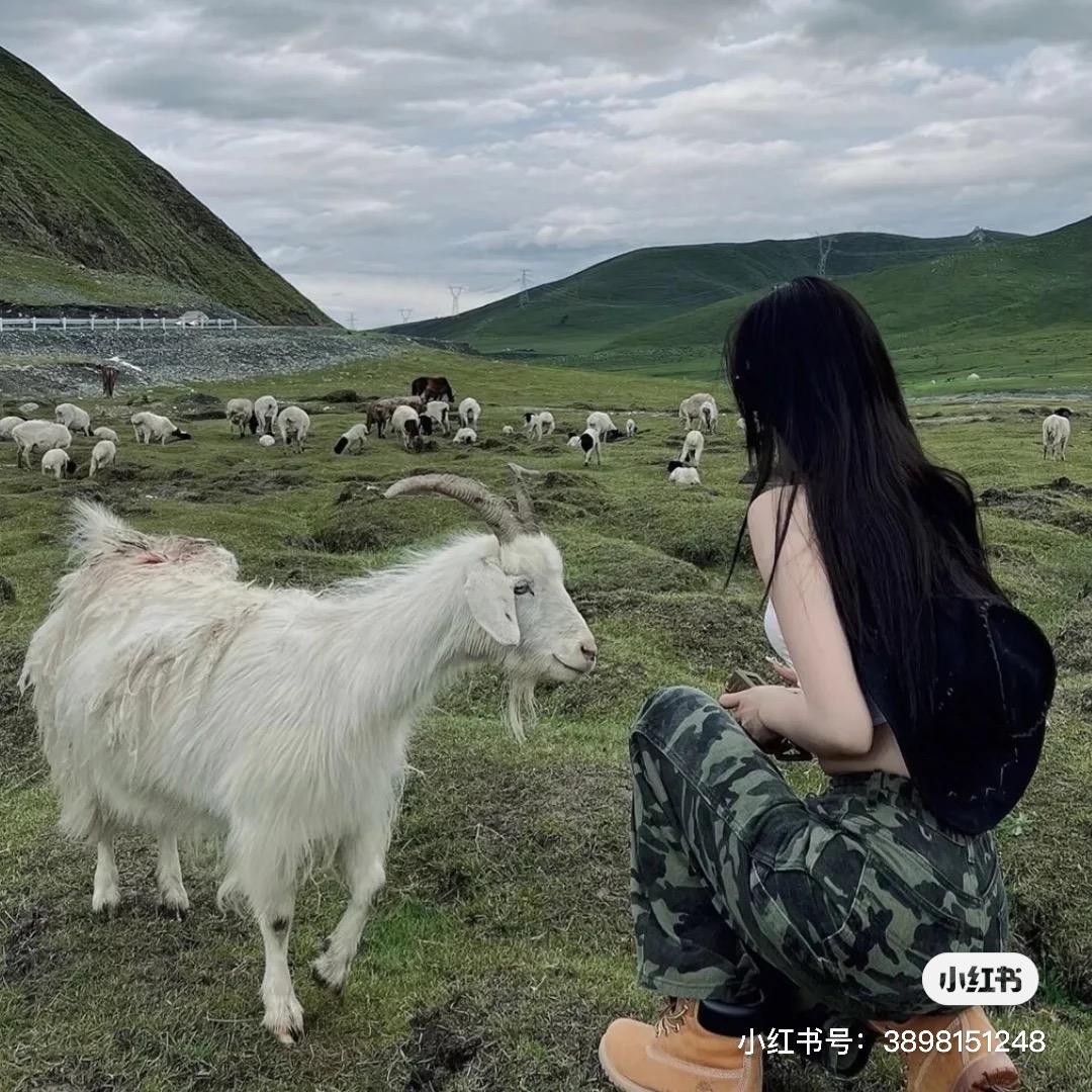 不吃胡萝卜🥕