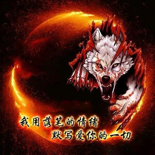 清晨的邹