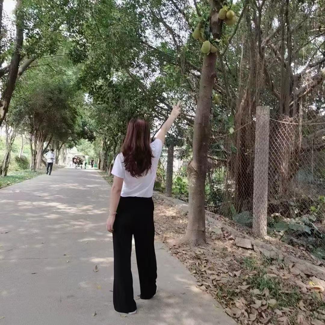 时光邮差