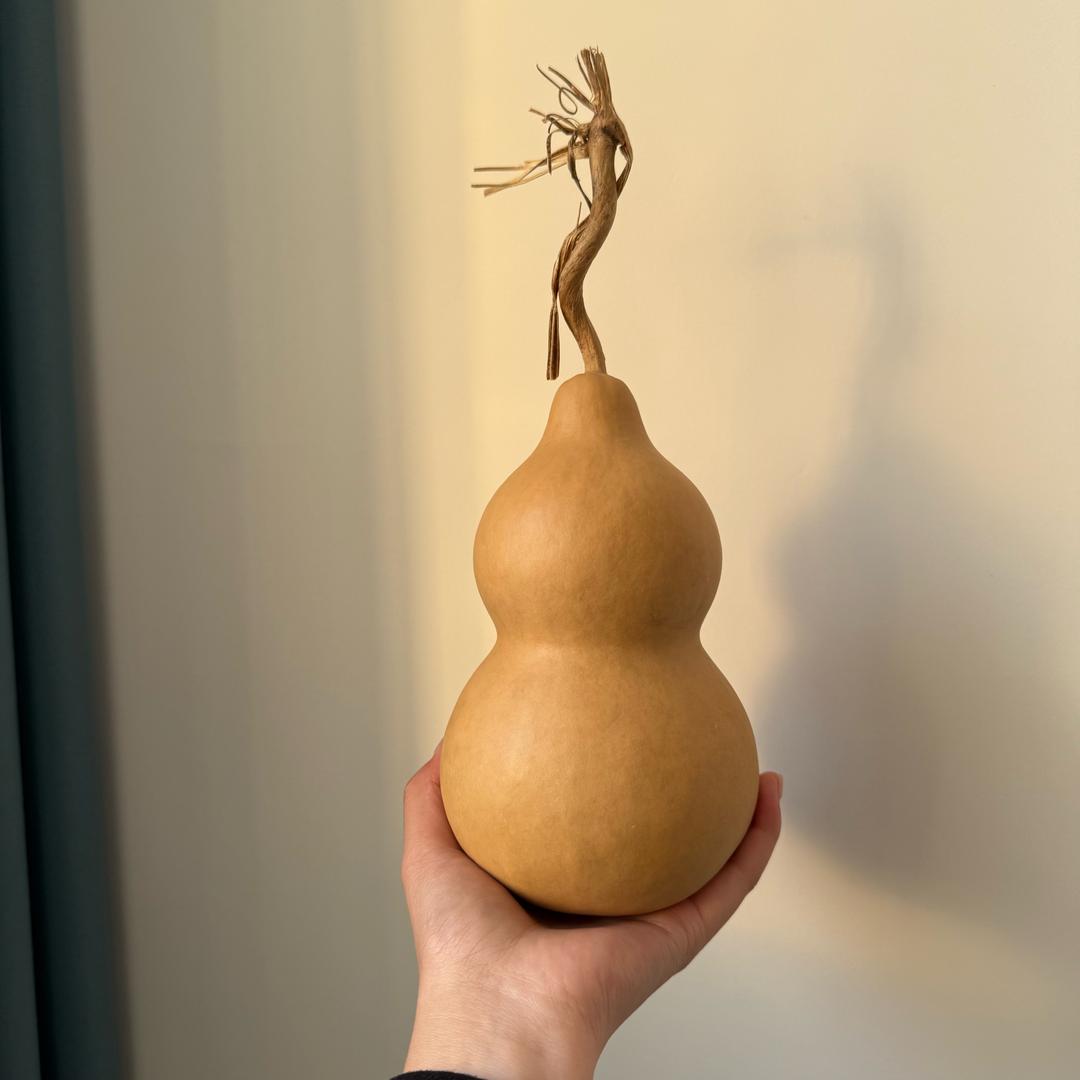 小萌葫芦