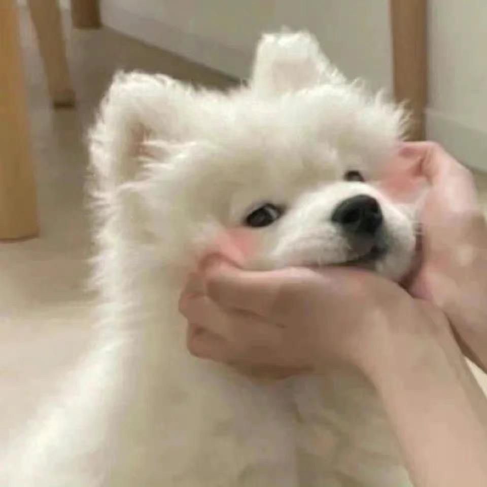 张发乐呀