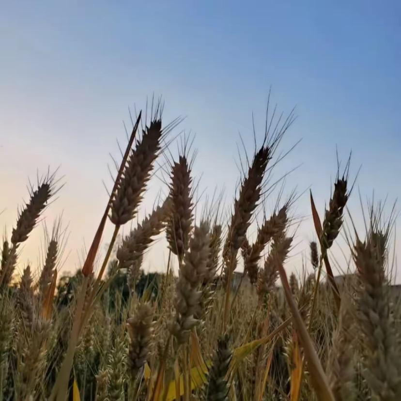 下班早点走（牛马版）