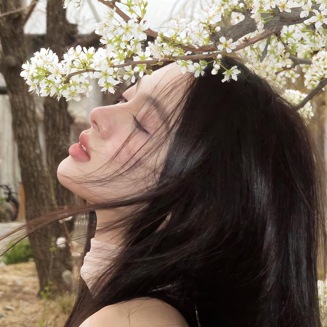 一条香菜