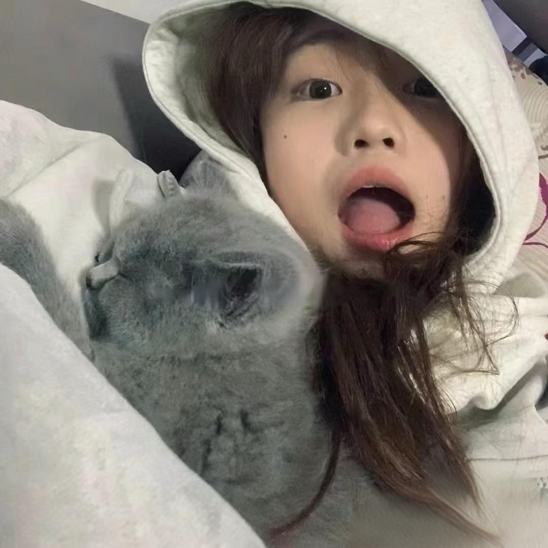 55💤.