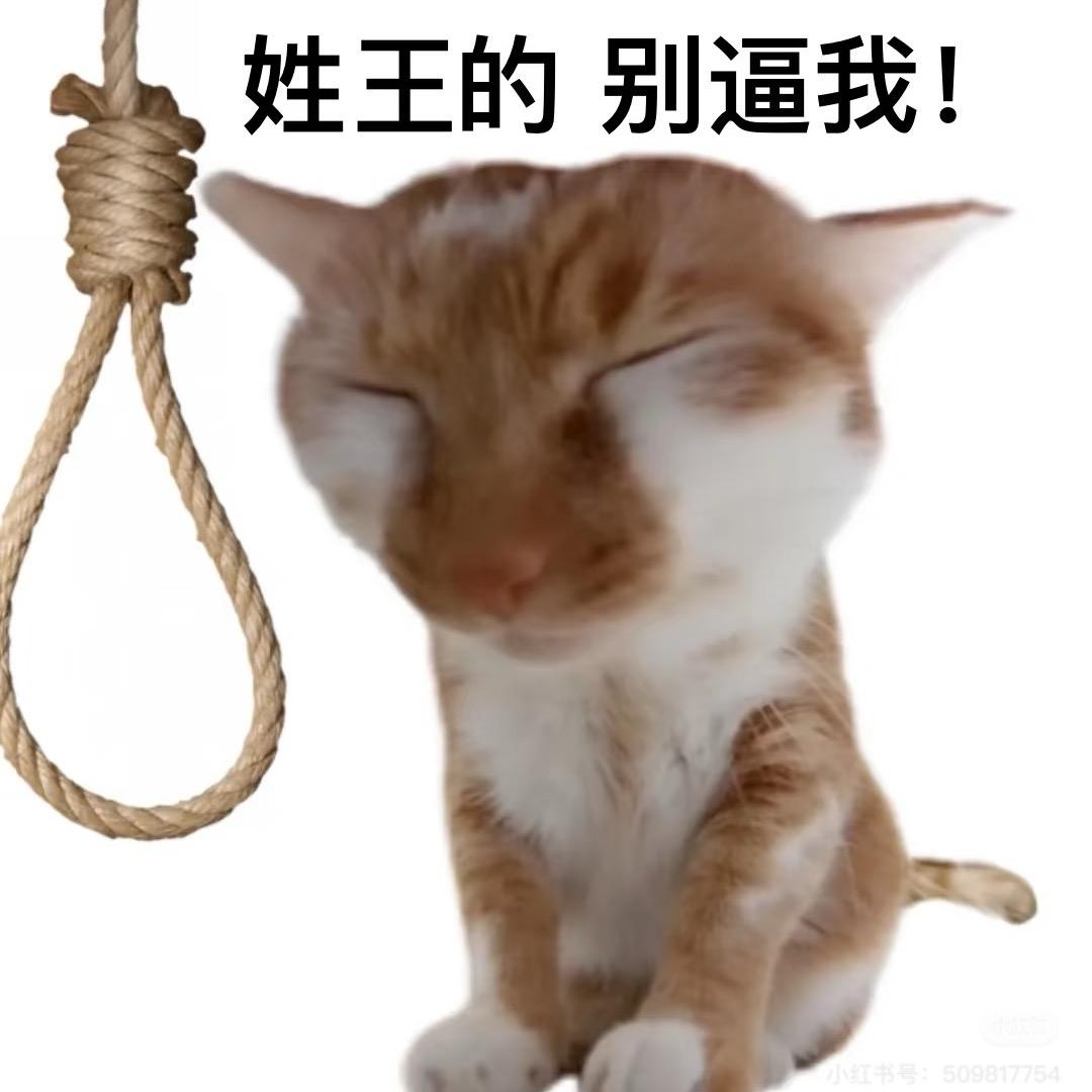 AAA建材王总