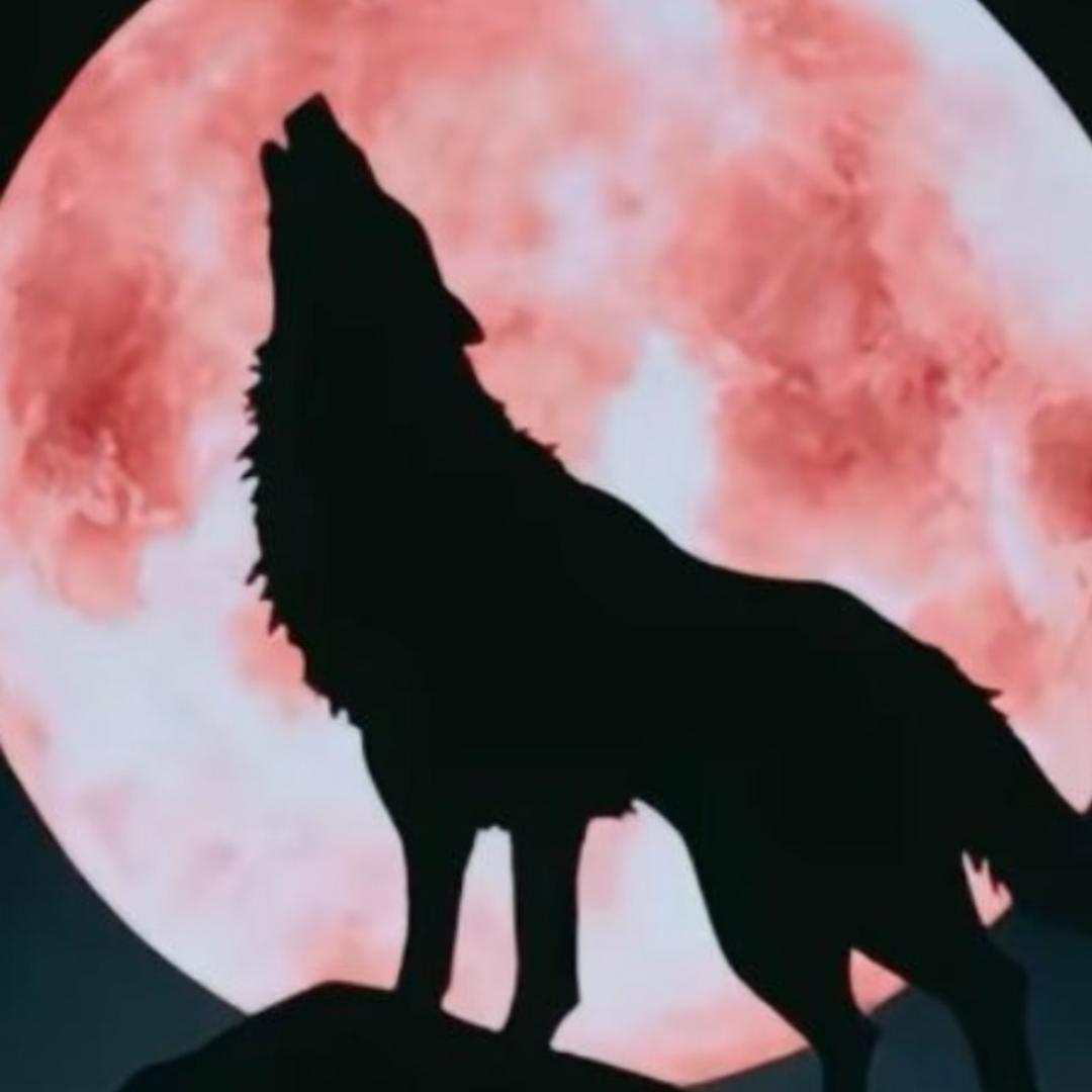 🔥 贵人   相伴 🔥