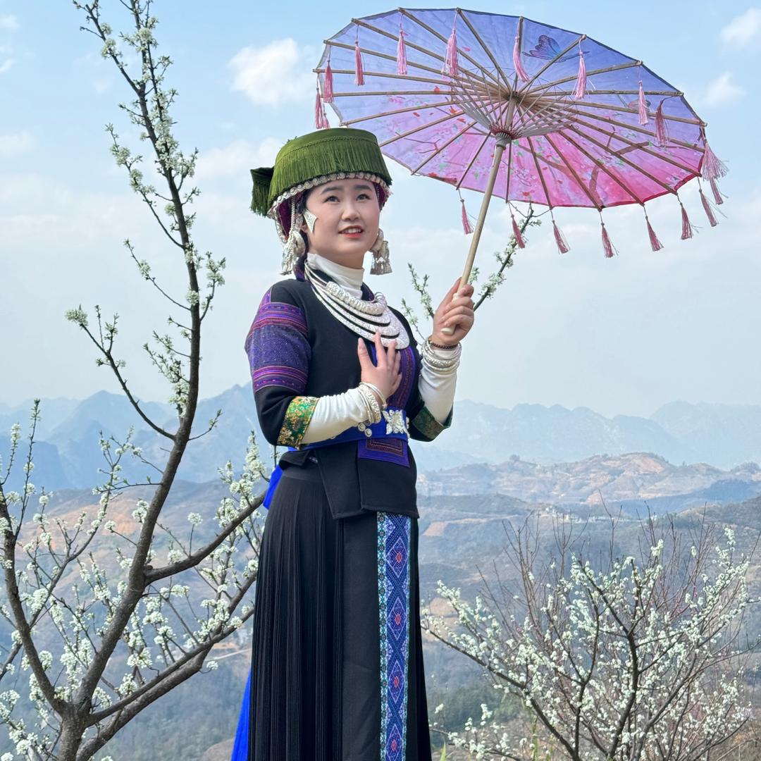 菲菲