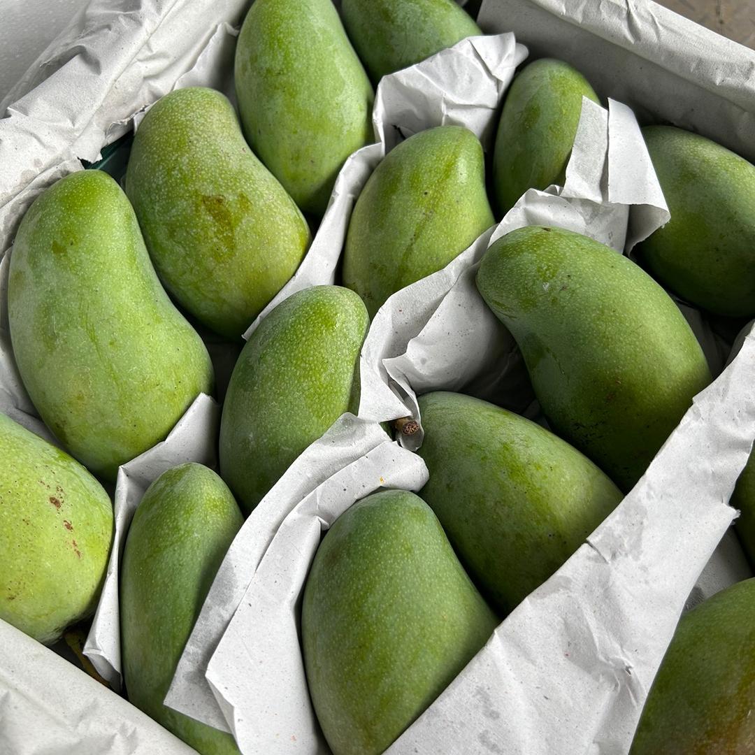 胖婶水果（越南青芒版）