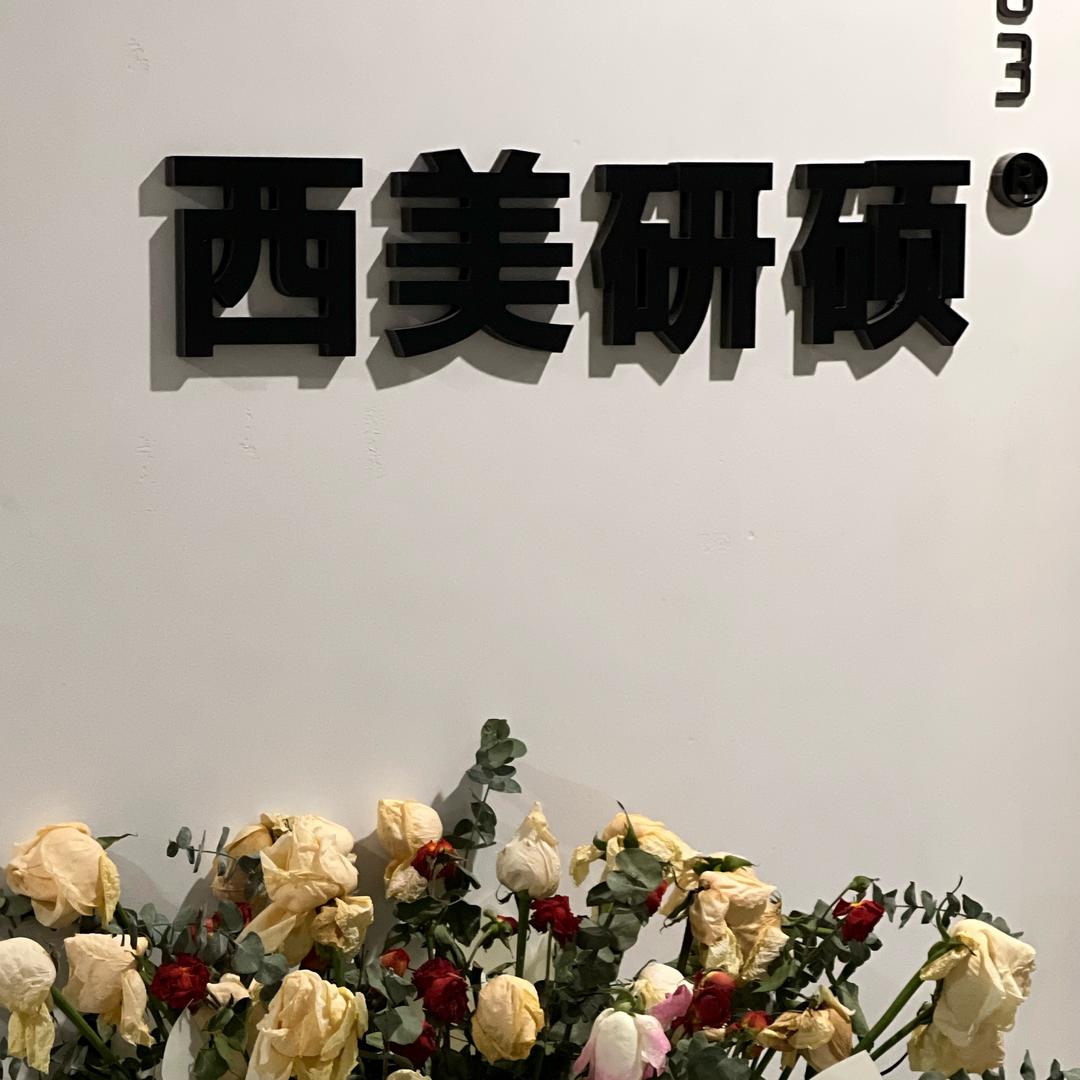 陕西西美教育（西美高画室）