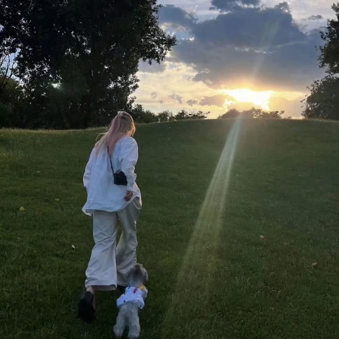 慧慧要努力💰（赚钱版）