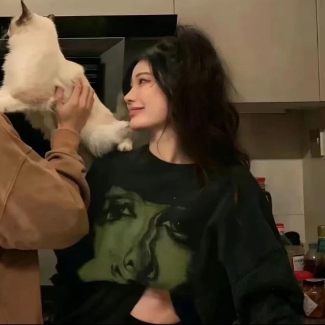 一只小眠杨🌧️