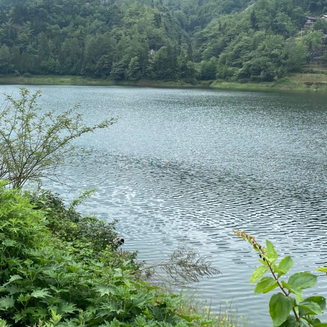 森林峡谷