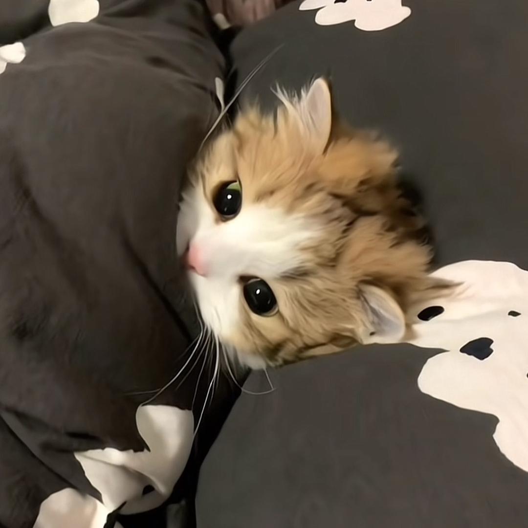 春野熏