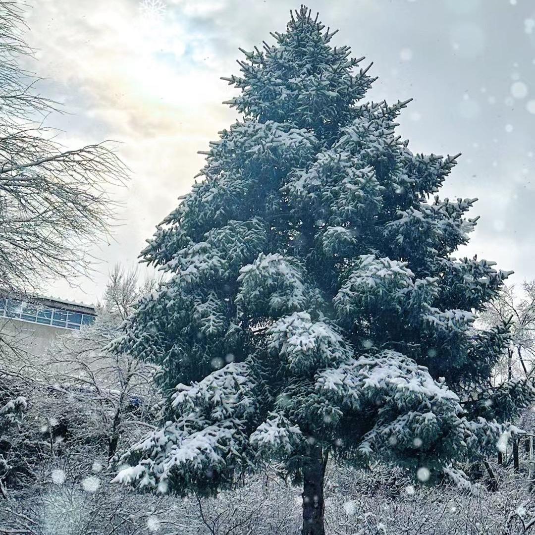 中俄边境食品仓