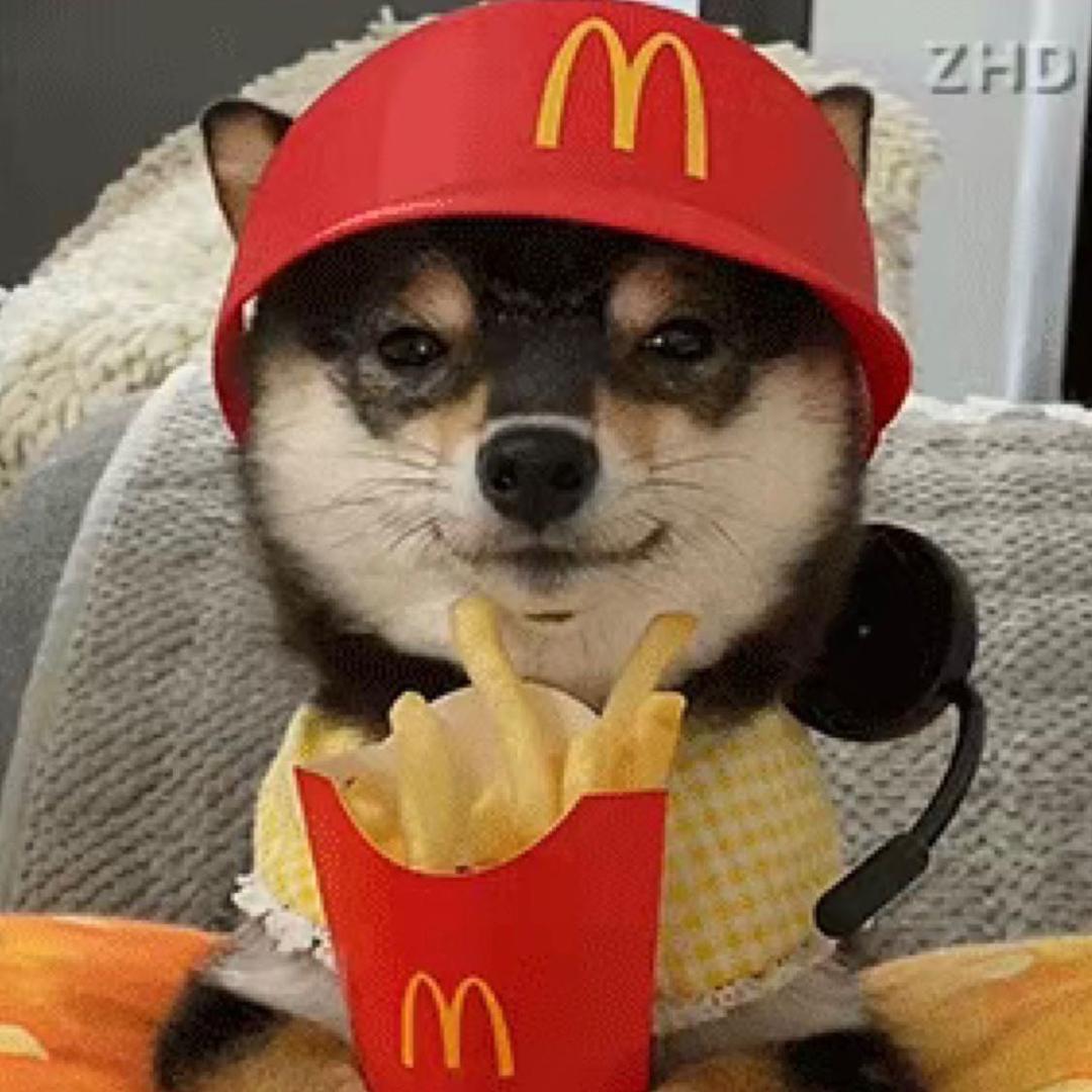 y z m