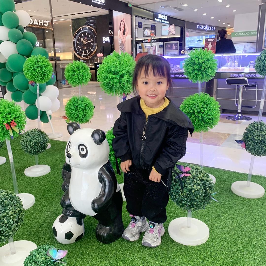 小可爱桐宝